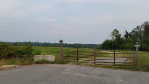 field surrounded by forest with gate in front of dirt road